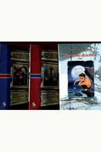 Dziennik Norweski - Komplet 3 części (używane)