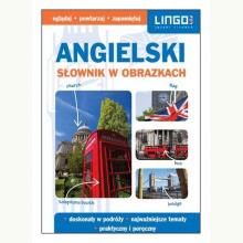 Angielski. Słownik w obrazkach, 9788378925552