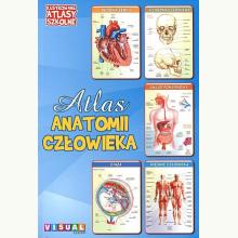 Atlas anatomii człowieka, 9788389535412