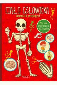 Ciało człowieka. Anatomia dla początkujących
