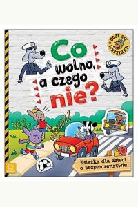 Co wolno, a czego nie. Książka o bezpieczeństwie