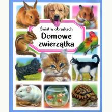 Domowe zwierzątka. Świat w obrazkach, 9788382626094 Domowe zwierzątka. Świat w obrazkach, 9788382626094