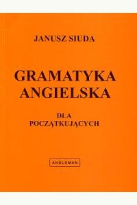 Gramatyka angielska dla początkujących