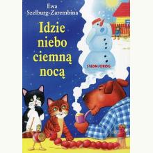 Idzie niebo ciemną nocą, 9788377918166