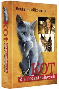 Kot dla początkujących (używana)
