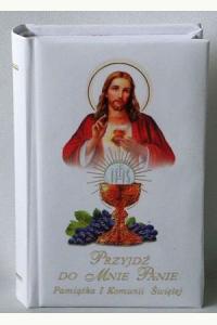 Książeczka do Pierwszej Komunii Świętej. Przyjdź do mnie Panie