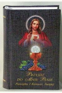 Książeczka do Pierwszej Komunii Świętej. Przyjdź do mnie Panie