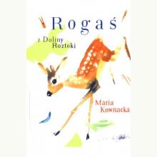 Rogaś z Doliny Roztoki, 9788372722485 Rogaś z Doliny Roztoki, 9788372722485