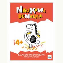 Szlaczki, raczki i wężyki. Rysujemy po śladzie 4+, 9788378739807