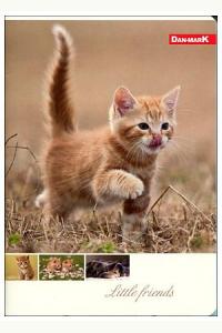 Zeszyt A5 80 kartek w kratkę