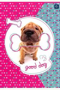 Zeszyt A5 w 3 linie kolor/32 kartki Mix