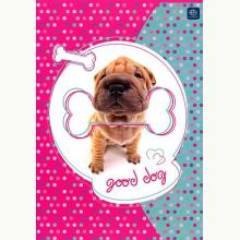 Zeszyt A5 w 3 linie kolor/32 kartki Mix, 5901389563139