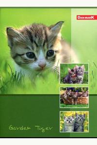 Zeszyt A5 w 3 linie 16 kartek