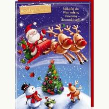 Karnet Boże Narodzenie Sanie Mikołaja, 5901854931869