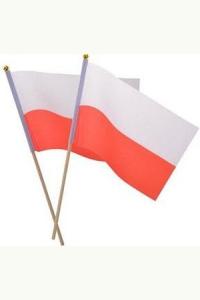 Materiałowa flaga na patyczku (2szt)