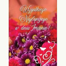 Karnet B6 Imieniny, 5905679430248 Karnet B6 Imieniny, 5905679430248