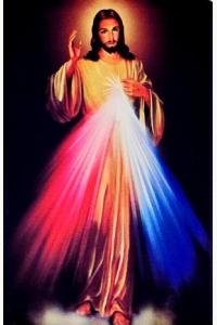 Magnes Jezus Miłosierny 8x5,5cm