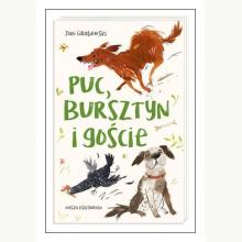 Puc, Bursztyn i goście, 9788310133939