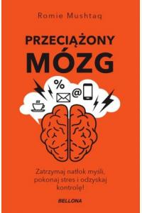 Przeciążony mózg