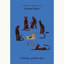 Ciemno, prawie noc, 9788324061594