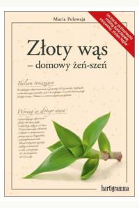 Złoty wąs - domowy żeń-szeń