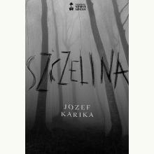 Szczelina, 9788366013100