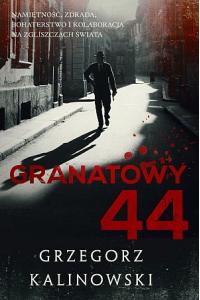 Granatowy 44 (używana)