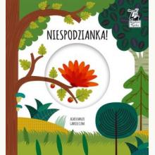 Kapitan Nauka. Niespodzianka. Magiczne koło, 9788366610866