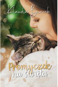 Promyczek na święta