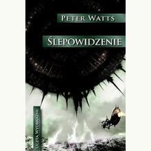 Ślepowidzenie, 9788367793346