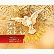 Veni Sancte Spiritus. Pamiątka bierzmowania, 9788374017039
