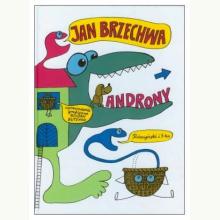 Androny (używana), 9788376485676 Androny (używana), 9788376485676