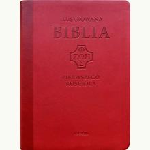 Ilustrowana Biblia pierwszego Kościoła (brązowa), 9788378299219