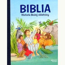 Biblia. Historia Bożej obietnicy, 9788379713912
