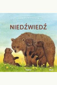 Dzikie zwierzęta w naturze. Niedźwiedź