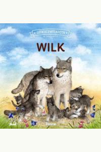 Dzikie zwierzęta w naturze. Wilk