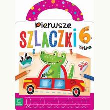 Pierwsze szlaczki 5-latka, 9788381066013