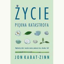 Życie, piękna katastrofa, 9788381439381