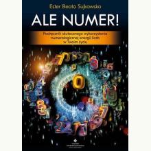 Ale Numer!, 9788381714129 Ale Numer!, 9788381714129