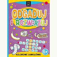 Odgaduj i rozwiązuj. Kolorowe łamigłówki, 9788382131468 Odgaduj i rozwiązuj. Kolorowe łamigłówki, 9788382131468