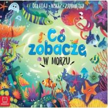 Co zobaczę w morzu. Oglądaj wskaż zapamiętaj, 9788382132212 Co zobaczę w morzu. Oglądaj wskaż zapamiętaj, 9788382132212