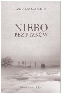 Niebo bez ptaków