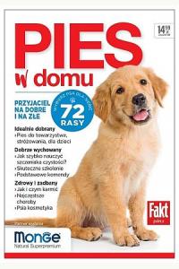 Pies w domu