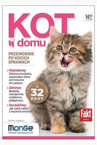 Kot w domu