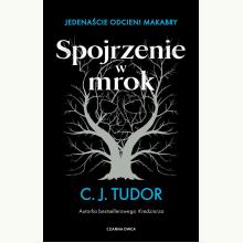 Spojrzenie w mrok. Jedenaście odcieni makabry, 9788382524352