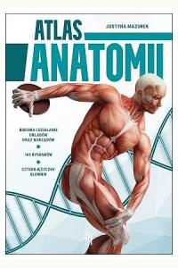 Atlas anatomii