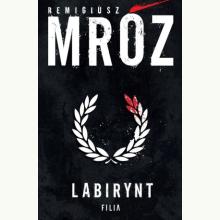 Labirynt, 9788384029558 Labirynt, 9788384029558