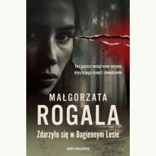 Zdarzyło się w Bagiennym Lesie, 9788384301715 K Zdarzyło się w Bagiennym Lesie, 9788384301715 K