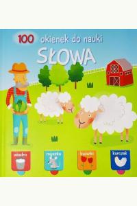 100 okienek do nauki. Słowa