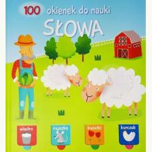 100 okienek do nauki. Słowa, 9789463346665